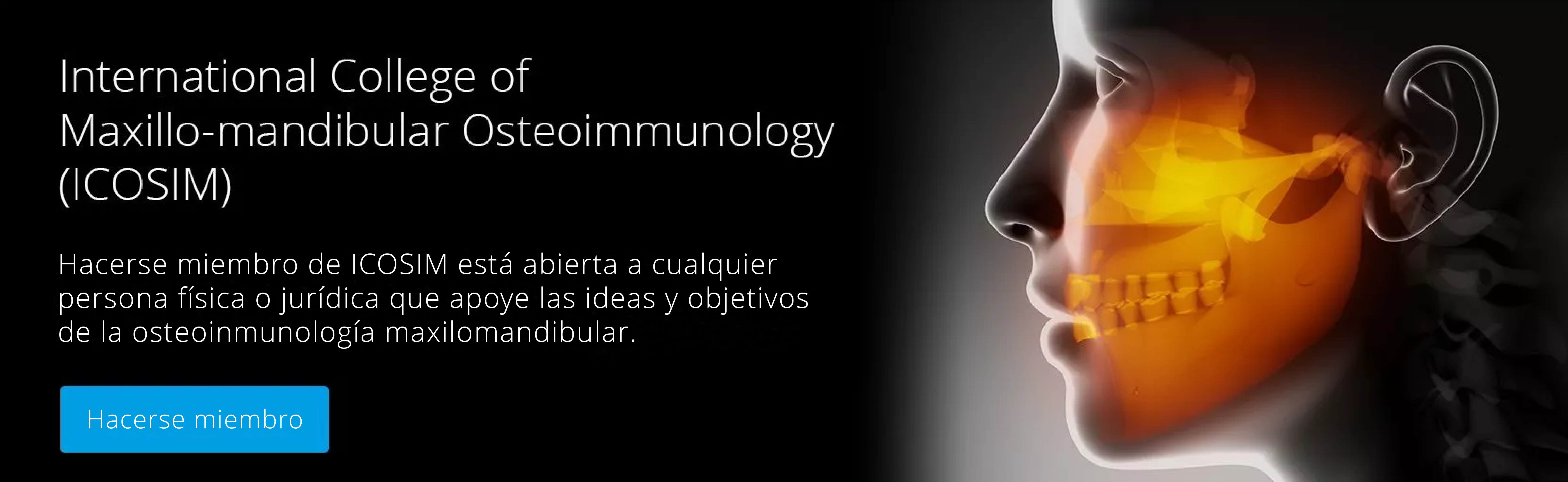 ICOSIM-Header_text_Spanisch