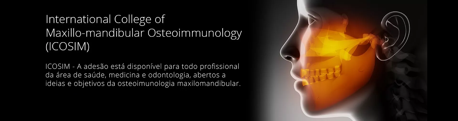 ICOSIM_Header_text_PT_ohneButton_1920x511